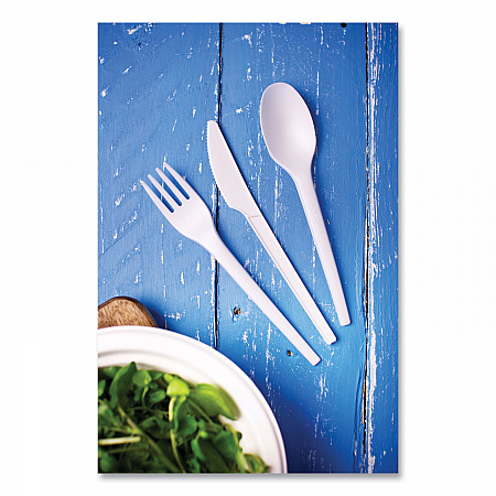 White CPLA Cutlery, General Purpose Spoon, Plastic, 1,000/Carton (VWSP65)