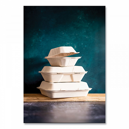 Nourish Molded Fiber Takeout Containers, Compostable, 7.9 x 7.9 x 2.9, White, Sugarcane, 200/Carton (VWHC81NFA)