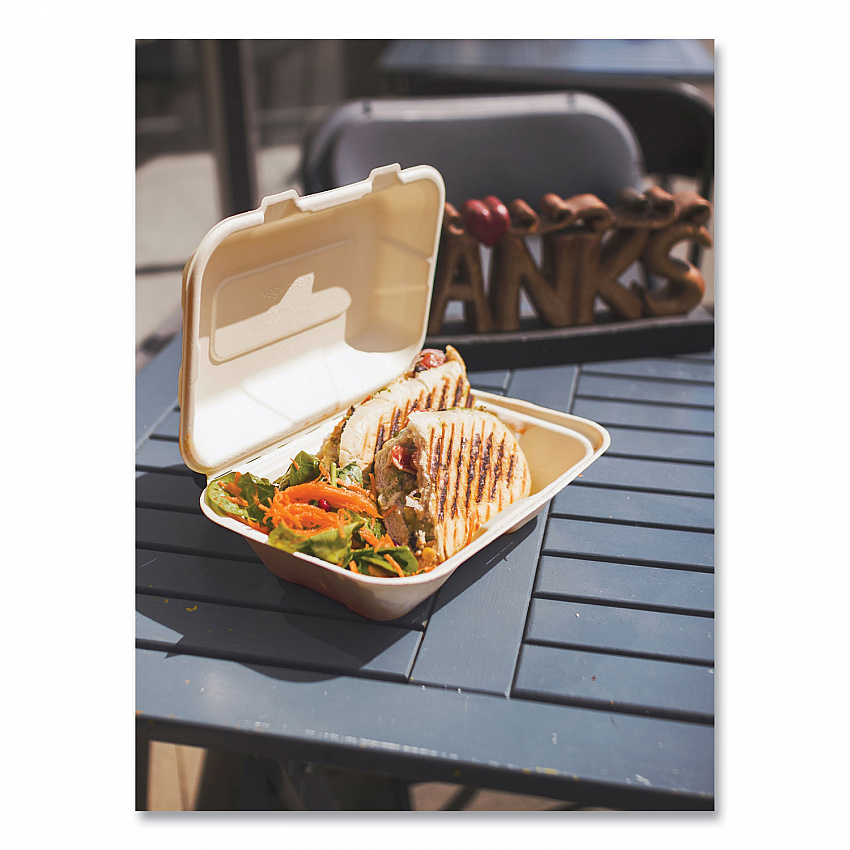 Nourish Molded Fiber Takeout Containers, Compostable, 6.1 x 9 x 2.9, Natural, Sugarcane, 200/Carton (VWHC96NFA)