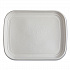 Regalia Renewable Sugarcane Tray, 13 x 17 x 1.3, White, 100/Carton (EPSCTR1317)