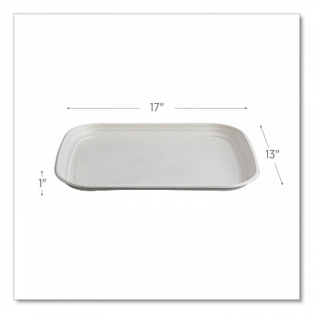 Regalia Renewable Sugarcane Tray, 13 x 17 x 1.3, White, 100/Carton (EPSCTR1317)