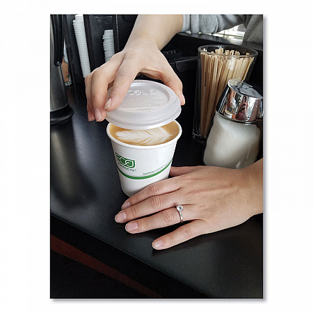 GreenStripe Renewable and Compostable Hot Cups, 12 oz, Paper, White/Green, 50/Pack, 20 Packs/Carton (EPBHC12GS)