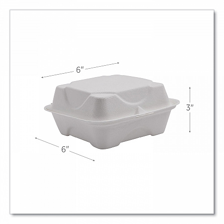 Vanguard Renewable and Compostable Sugarcane Clamshells, 6 x 6 x 3, White, 500/Carton (EPHC6NFA)
