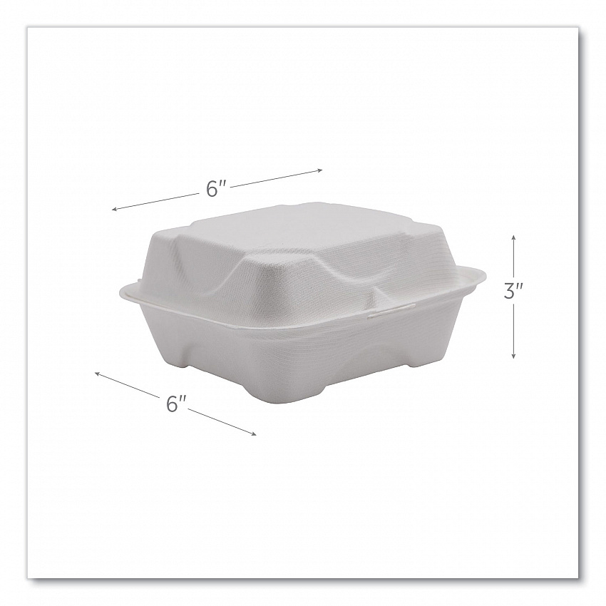 Vanguard Renewable and Compostable Sugarcane Clamshells, 6 x 6 x 3, White, 500/Carton (EPHC6NFA)