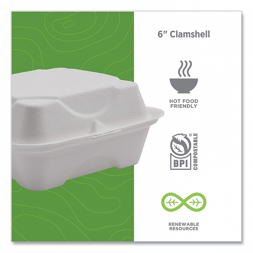 Vanguard Renewable and Compostable Sugarcane Clamshells, 6 x 6 x 3, White, 500/Carton (EPHC6NFA)