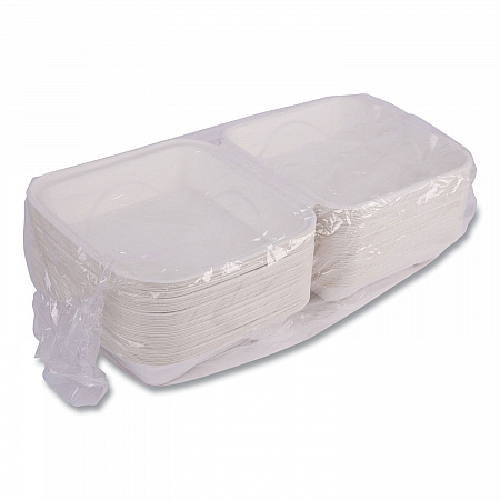 Vanguard Renewable and Compostable Sugarcane Clamshells, 8 x 8 x 3, White, 200/Carton (EPHC81NFA)