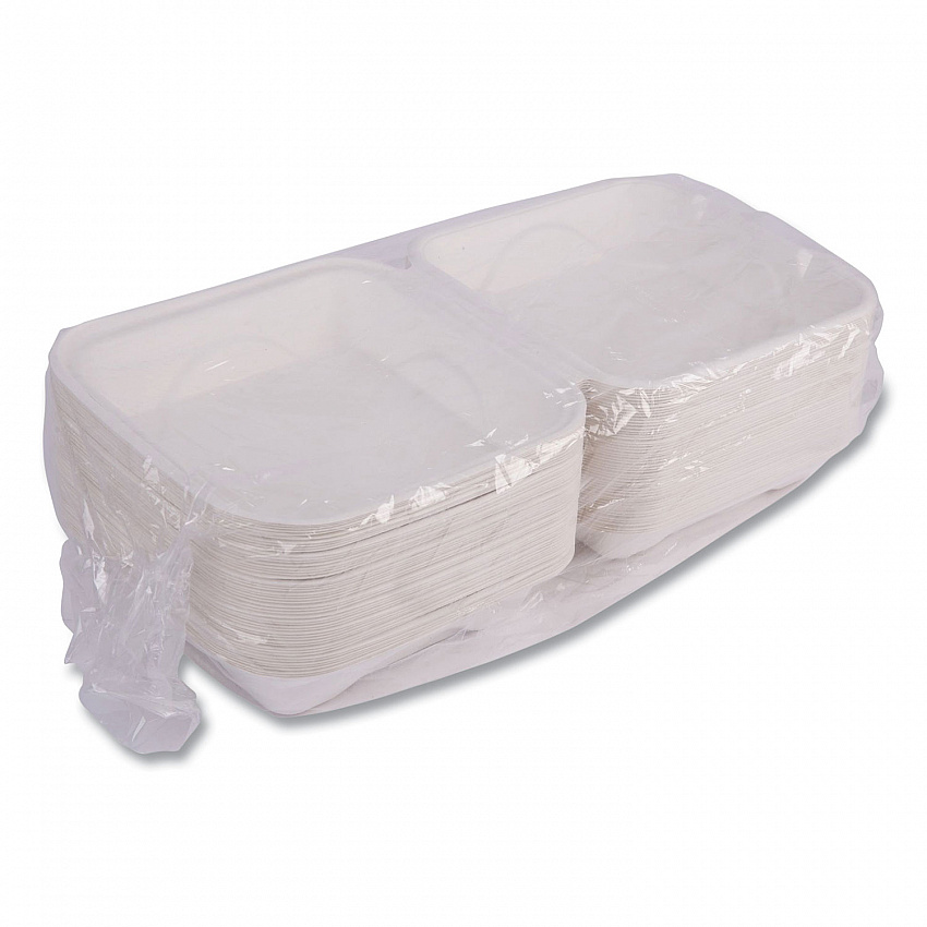 Vanguard Renewable and Compostable Sugarcane Clamshells, 8 x 8 x 3, White, 200/Carton (EPHC81NFA)