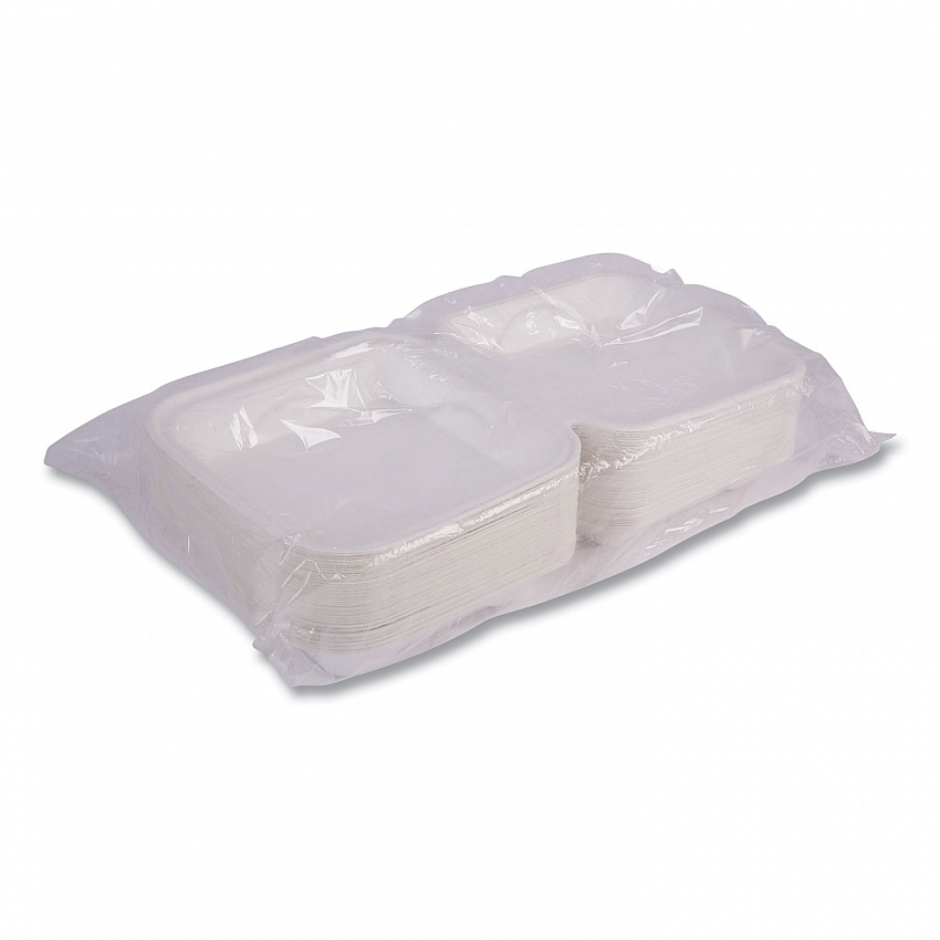 Vanguard Renewable and Compostable Sugarcane Clamshells, 9 x 9 x 3, White, 200/Carton (EPHC91NFA)