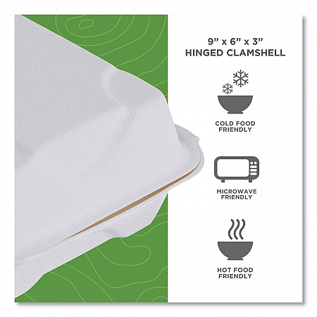 Vanguard Renewable and Compostable Sugarcane Clamshells, 9 x 6 x 3, White, 250/Carton (EPHC96NFA)