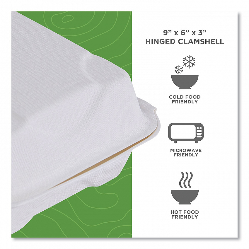 Vanguard Renewable and Compostable Sugarcane Clamshells, 9 x 6 x 3, White, 250/Carton (EPHC96NFA)