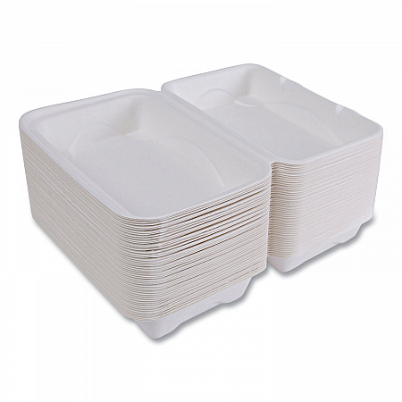 Vanguard Renewable and Compostable Sugarcane Clamshells, 9 x 6 x 3, White, 250/Carton (EPHC96NFA)