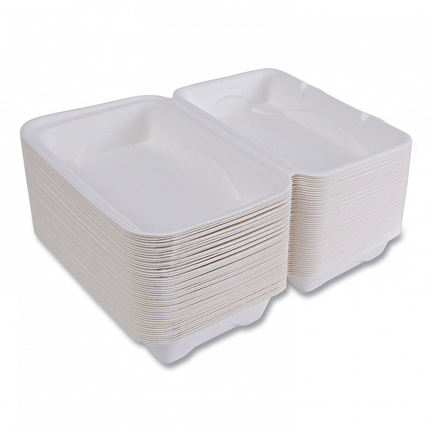Vanguard Renewable and Compostable Sugarcane Clamshells, 9 x 6 x 3, White, 250/Carton (EPHC96NFA)