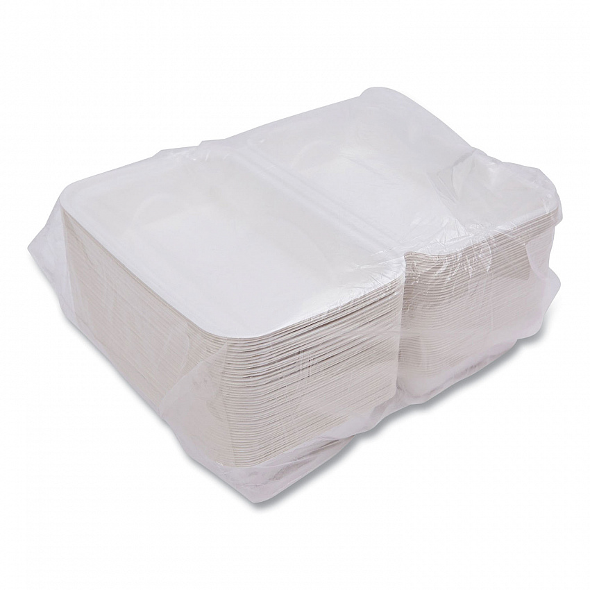Vanguard Renewable and Compostable Sugarcane Clamshells, 9 x 6 x 3, White, 250/Carton (EPHC96NFA)