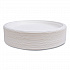 Vanguard Renewable and Compostable Sugarcane Plates, 10