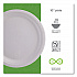 Vanguard Renewable and Compostable Sugarcane Plates, 10