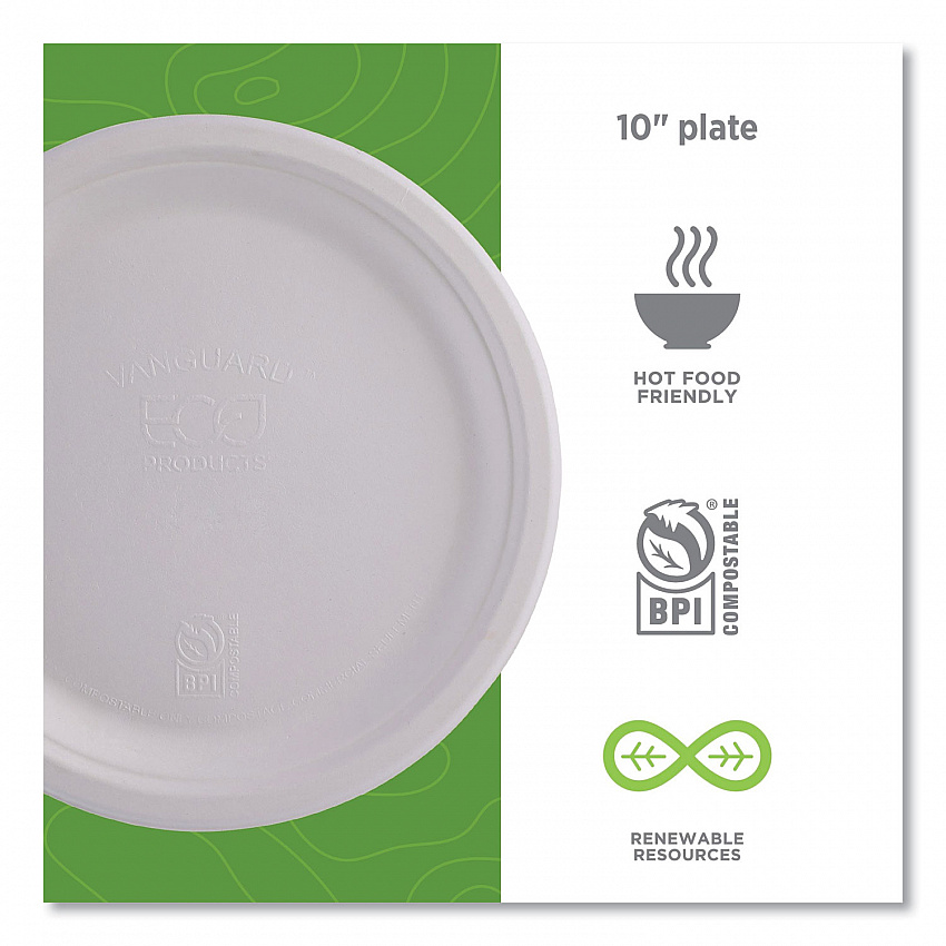 Vanguard Renewable and Compostable Sugarcane Plates, 10" dia, White, 500/Carton (EPP005NFA)