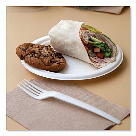 Vanguard Renewable and Compostable Sugarcane Plates, 10