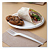 Vanguard Renewable and Compostable Sugarcane Plates, 10