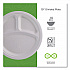 Vanguard Renewable and Compostable Sugarcane Plates, 3-Compartment Plate, 10
