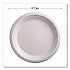 Vanguard Renewable and Compostable Sugarcane Plates, 9