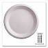 Vanguard Renewable and Compostable Sugarcane Plates, 9