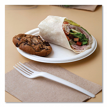 Vanguard Renewable and Compostable Sugarcane Plates, 9