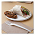 Vanguard Renewable and Compostable Sugarcane Plates, 9