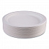 Vanguard Renewable and Compostable Sugarcane Plates, 9
