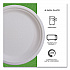 Vanguard Renewable and Compostable Sugarcane Plates, 6
