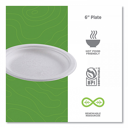 Vanguard Renewable and Compostable Sugarcane Plates, 6
