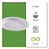 Vanguard Renewable and Compostable Sugarcane Plates, 6