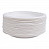 Vanguard Renewable and Compostable Sugarcane Plates, 6