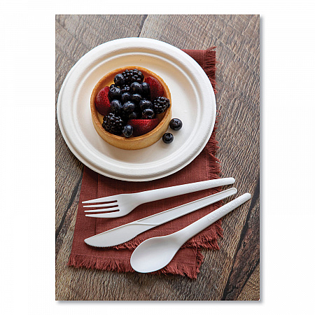 Vanguard Renewable and Compostable Sugarcane Plates, 6
