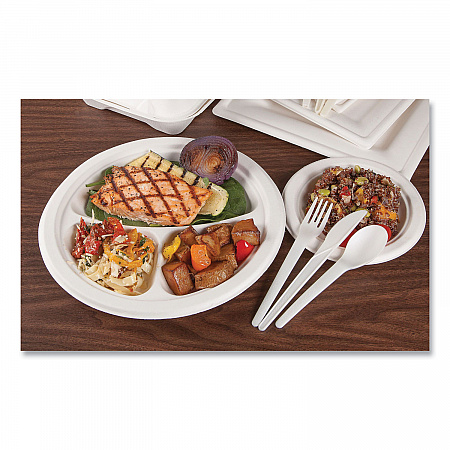 Vanguard Renewable and Compostable Sugarcane Plates, 6