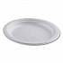 Vanguard Renewable and Compostable Sugarcane Plates, 6