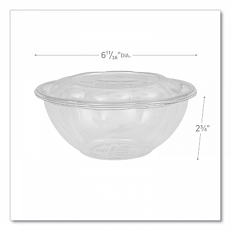 Renewable and Compostable Salad Bowls with Lids, 24 oz, Clear, Plastic, 50/Pack, 3 Packs/Carton (EPSB24)