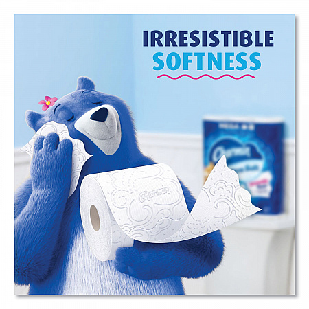 Ultra Soft Bathroom Tissue, Septic Safe, 2-Ply, White, 208 Sheets/Roll, 4 Rolls/Pack (19261PK)