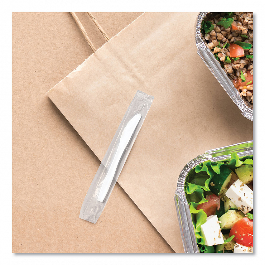 Regal Mediumweight Cutlery, Individually Wrapped, Knife, Plastic, White, 1,000/Carton (MOW20007)