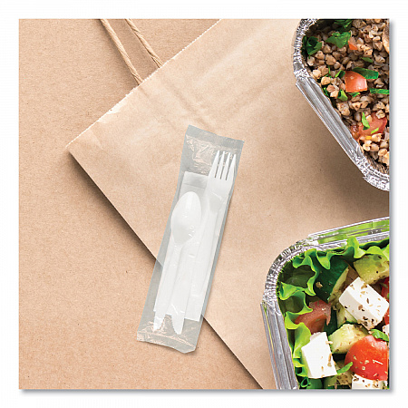 Regal Mediumweight Cutlery Kit, Individually Wrapped, Fork/Knife/Napkin/Spoon, Plastic, White, 250/Carton (MOW9Y0007)