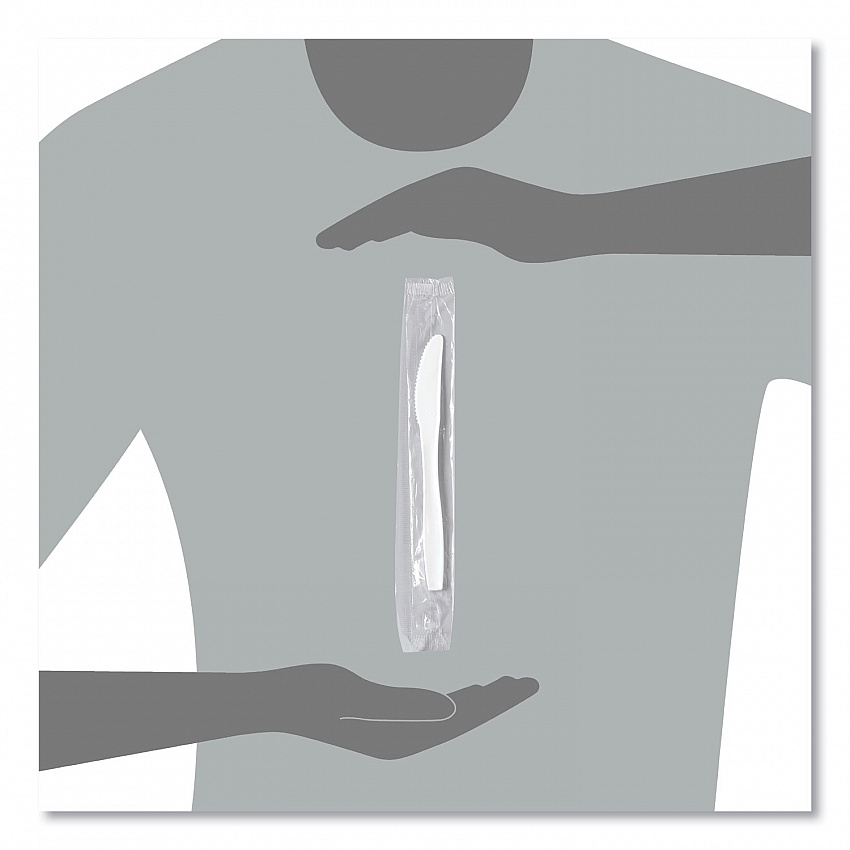 Regal Mediumweight Cutlery, Individually Wrapped, Knife, Plastic, White, 1,000/Carton (MOW20007)