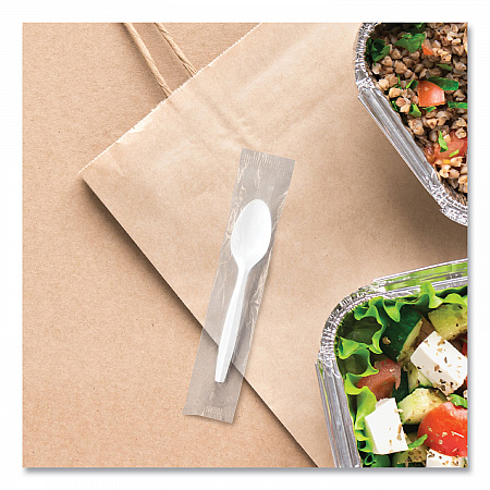 Regal Mediumweight Cutlery, Individually Wrapped, Spoon, Plastic, White, 1,000/Carton (MOW30007)