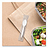 Regal Mediumweight Cutlery, Individually Wrapped, Spoon, Plastic, White, 1,000/Carton (MOW30007)