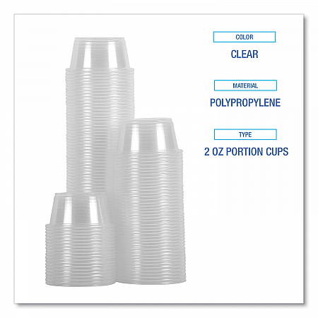 Souffle/Portion Cups, 2 oz, Plastic, Clear, 125/Sleeve, 20 Sleeves/Carton (PRTN2TS)