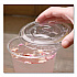 PET Lids, Flat with Straw Slot, Fits 12 oz to 24 oz Cold Cups, Plastic, Clear, 1,000/Carton (CKC626TS)