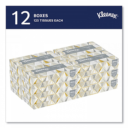 White Facial Tissue for Business, 2-Ply, 125 Sheets/Box, 12 Boxes/Carton (03076)