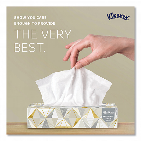 White Facial Tissue for Business, 2-Ply, 125 Sheets/Box, 12 Boxes/Carton (03076)