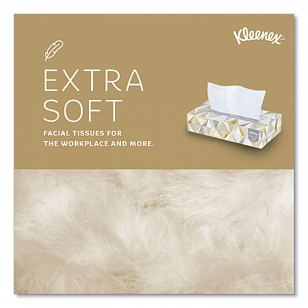 White Facial Tissue for Business, 2-Ply, 125 Sheets/Box, 12 Boxes/Carton (03076)