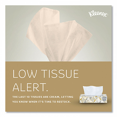 White Facial Tissue for Business, 2-Ply, 125 Sheets/Box, 12 Boxes/Carton (03076)