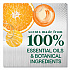 Foaming Dish Spray, Mandarin Orange Scent, 16 oz Bottle, 6/Carton (45169CT)