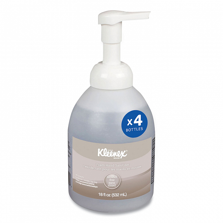 Alcohol-Free Foam Hand Sanitizer, 18 oz Pump Bottle, Fragrance-Free, 4/Carton (45827CT)
